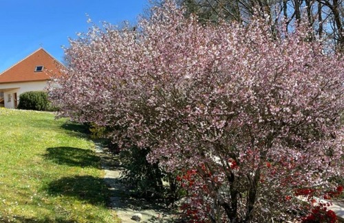 Coarraze Villa | Kojonomai-Pirineos
