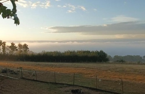 Perreuse Otro | Gîte l ambre du fort bois