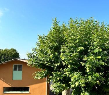 Sainte-Cecile-les-Vignes Casa | Gîte l'atelier de Phil et Delfe