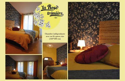 Joinville Casa | Gîte La Rose trémière