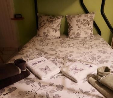 Saint-Julien-de-Cassagnas Apartamento | Gîte Ma Vie Là 3 étoiles, jacuzzi, animaux acceptés