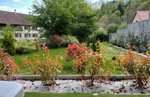 Soultzeren Apartamento | Gîte Soultzerent
