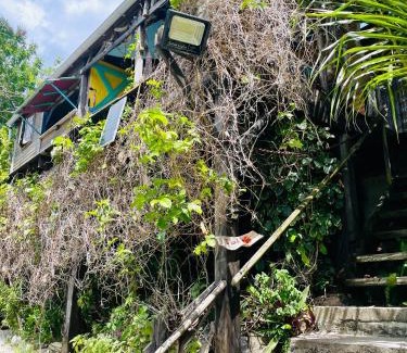 Grand Anse Casa | Gîte Ti Kazalo, cabane perchée, vue mer spectaculaire, pieds dans l'eau