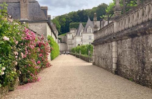Villandry Casa | Gîte tout inclus avec jardin, clim, Wifi, proche Château de Villandry et Loire à vélo - FR-1-381-587
