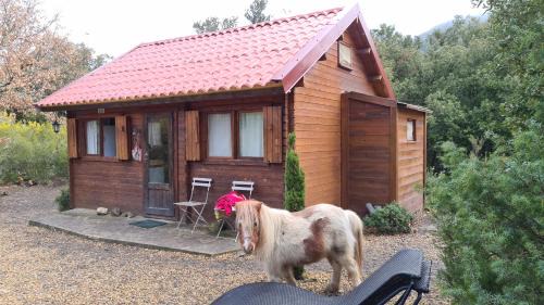 Termes Casa | Gîtes à la Ferme - Hautes-Corbières
