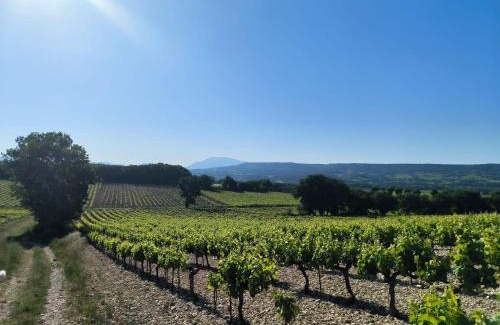 Tulette Apartamento | Gîtes à la ferme, Le Jardin Bleu