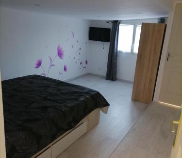 Mareuil-sur-Cher Casa | Gîtes aux cœurs des vignes a 10mm du zoo de beauval 3 étoiles