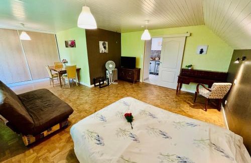 Le Breuil Apartamento | Gîtes Montvaltin - Grand studio villa