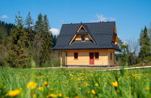 Jurgow Chalet De Esquí | Góralski domek nad Białką