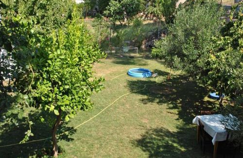 Ayvalik City Center Hotel | Günebakan Taliani Otel
