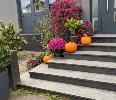 Loerrach Casa | Günstiges Privatzimmer
