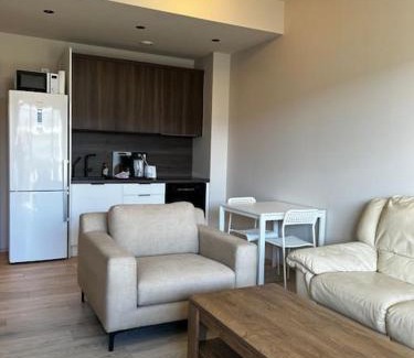 Laugardalur Apartamento | G1 by Stay in Iceland