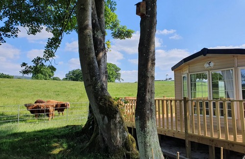 Corwen Cabina | Gaerhyfryd Static Caravan