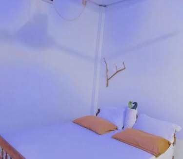 Sevanagala Cama Y Desayuno | Gajaya Elephant Safari Homestay