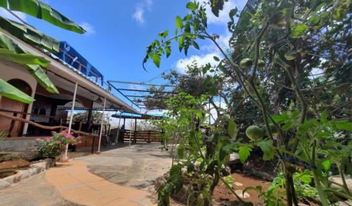 Puerto Baquerizo Moreno Cama Y Desayuno | Galápagos Casa Playa Mann