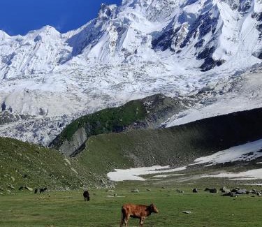 Hunza Otro | Galib Camping Site Minapin Hunza Nagar Gilgit Baltistan Pakistan