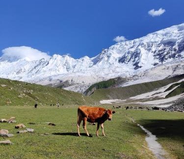 Hunza Otro | Galib Camping Site Minapin Hunza Nagar Gilgit Baltistan Pakistan