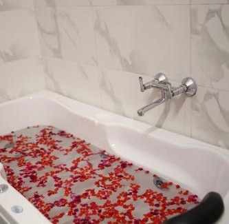 New Delhi Hotel | Gallivanto Inn - Rohini