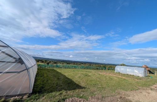 Barnard Castle Otro | Gallow Hill Campsite