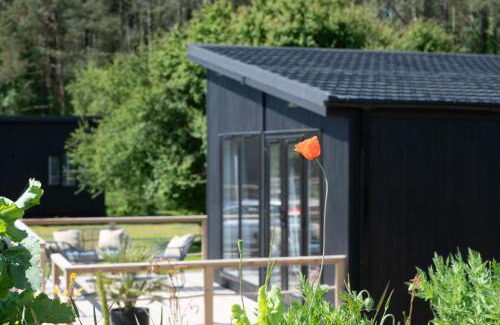 Llanfairpwllgwyngyll Casa | Galwad y Môr