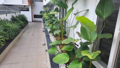 Palayam Apartamento | Gangothrii