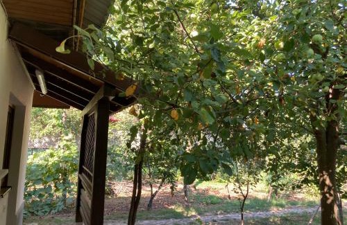 Tirgu Jiu Apartamento | Garden apartments in Targu-Jiu