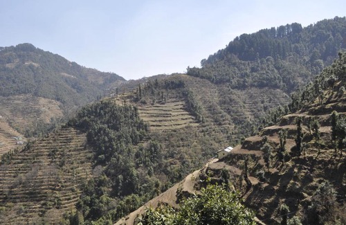 Kempty Range Hotel | Garden Cottage, Dhanaulti