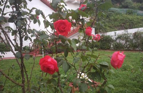 Shimla Cama Y Desayuno | Garden Cottages