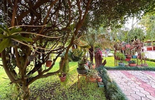Arusha Cama Y Desayuno | Garden Escape