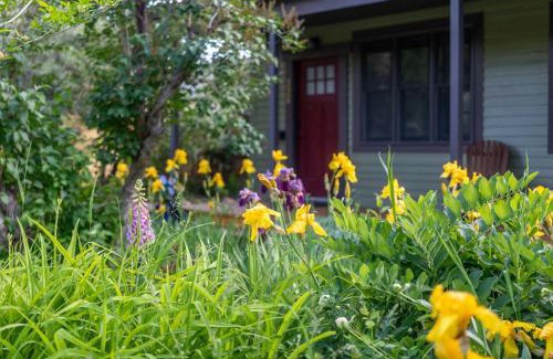 Livingston Casa | Garden House