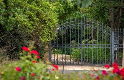 Red Hill Casa | Garden of Eden 伊甸园