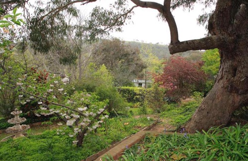Red Hill Casa | Garden of Eden 伊甸园