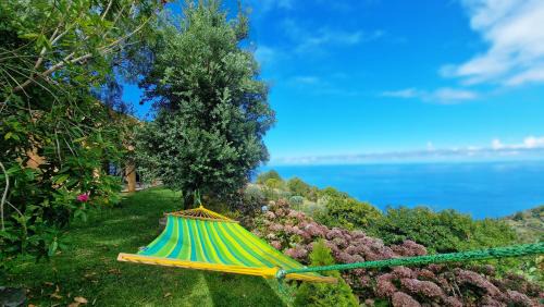 Sao Vicente Casa | Garden of Eden by LovelyStay