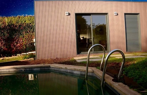 Meyzieu Apartamento | Garden studio with pool view