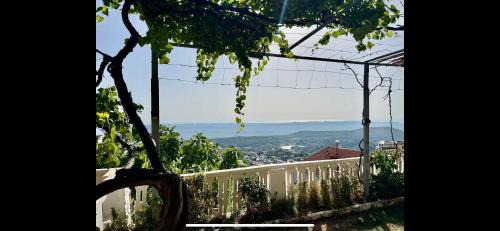 Kruje Villa | Garden Villa Guni