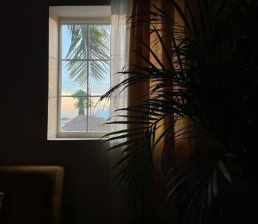 Centro de la ciudad de Tulum Hotel | Gardenia Collective