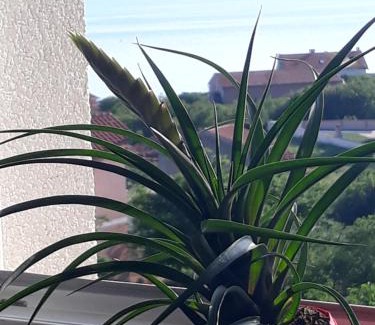 Povile Casa | Garfild Guest house