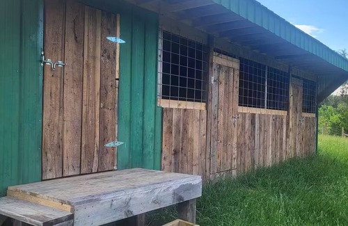 Allardt Casa | Garrett's Private Lake House with Horse Barn in wonderful Jamestown;