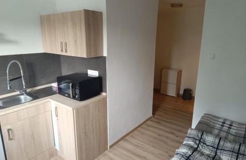Ostrava City Centre Apartamento | Garsoniéra za Bezručem
