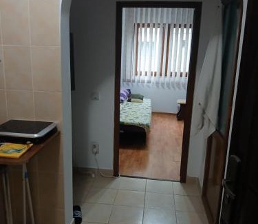 Baile Herculane Casa | Garsoniera