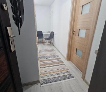 Ramnicu Valcea Apartamento | Garsoniera