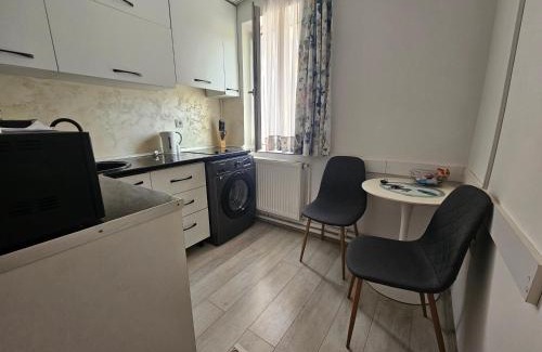 Ramnicu Valcea Apartamento | Garsoniera