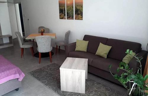 Grinzing Apartamento | Garten Apartement Strebersdorf