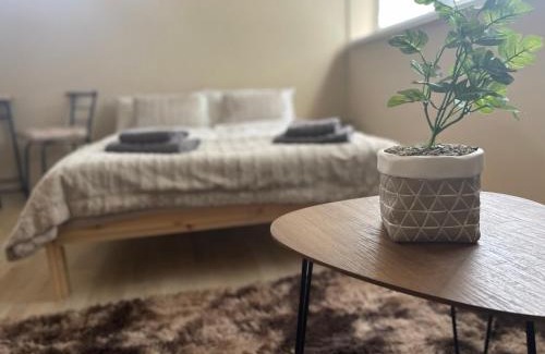 Sahy Apartamento | Garzon/Studio apartment