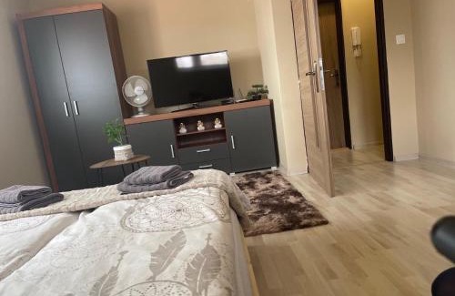 Sahy Apartamento | Garzon/Studio apartment