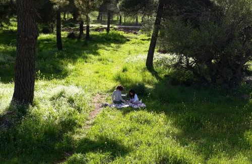 El-Rum Cama Y Desayuno | Gate Away B&B Units - המקום באל רום