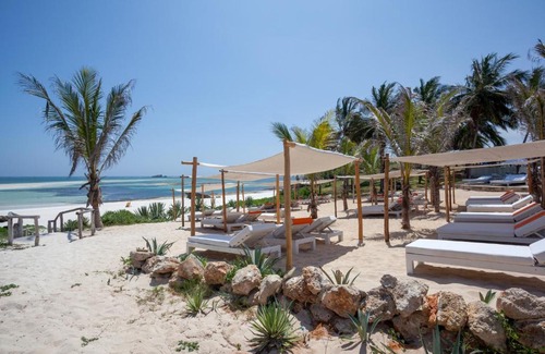 Watamu Complejo | Gecko Resort