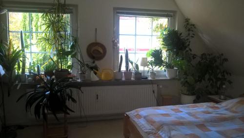 Heimfeld Apartamento | Gemütl. Ferienwohnung und Privatzimmer