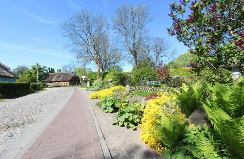 Gross Zicker Apartamento | gemütliche Ferienwohnung mit Terrasse und Garten - Ferienhaus Zaunkönig FeWo EG