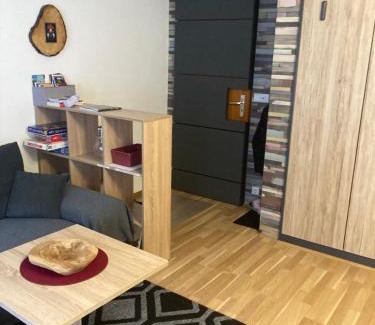 Menzenschwand-Hinterdorf Apartamento | Gemütliche Ferienwohnung in Sankt Blasien